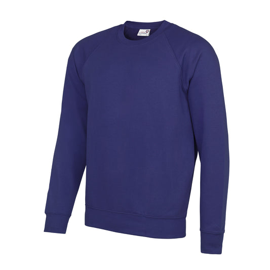 Minster In Sheppey - Bluza Academy Reglan 